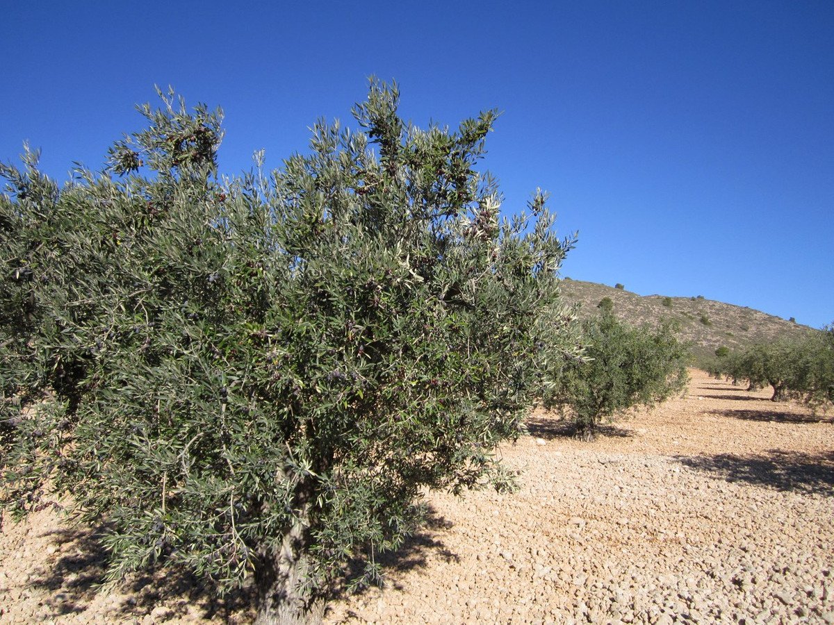 05 photo