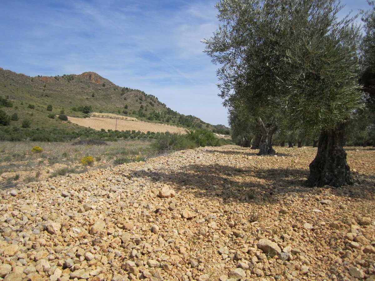 04 photo