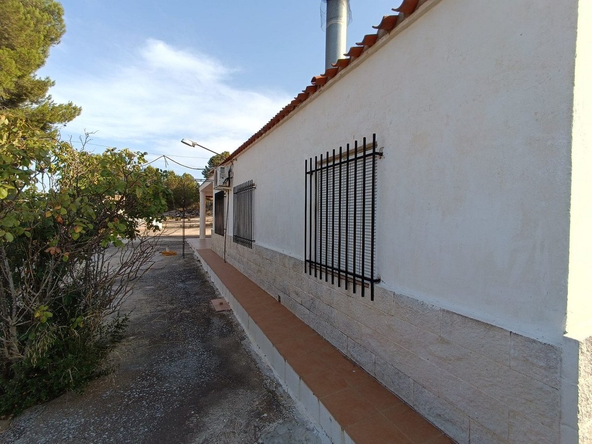06 photo