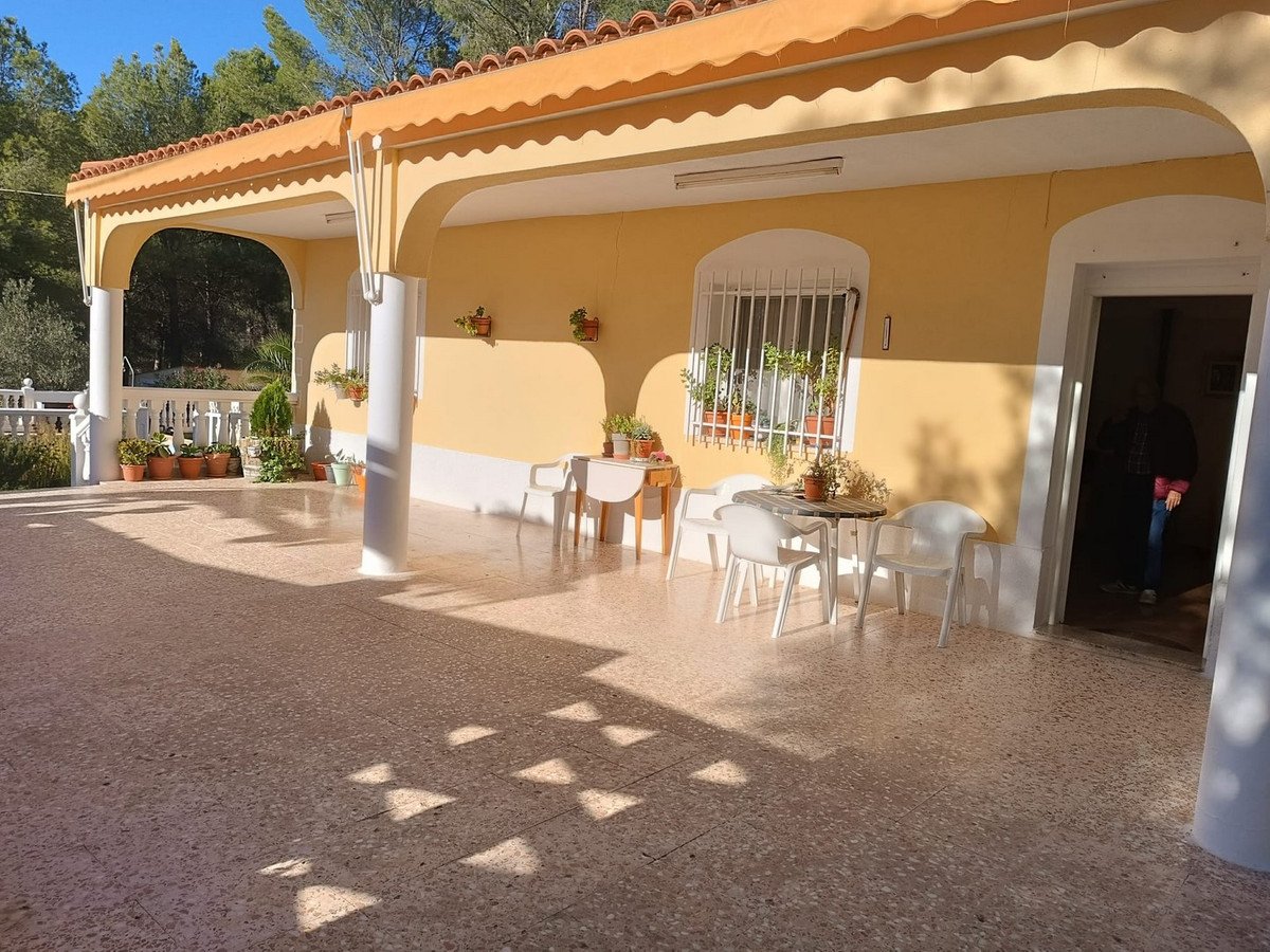 Sunny covered patio with outdoor seating, tables, plants, and a view of trees in the background.