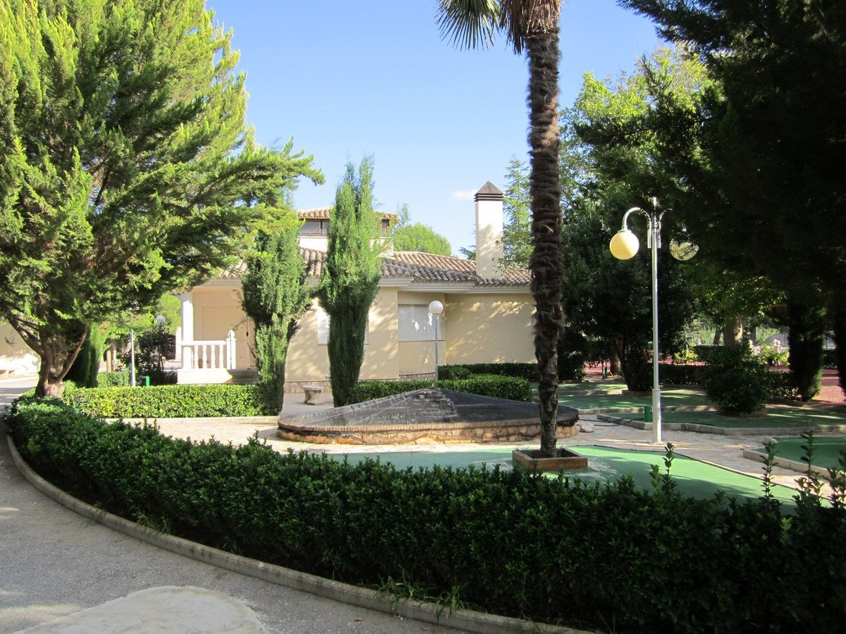 04 photo