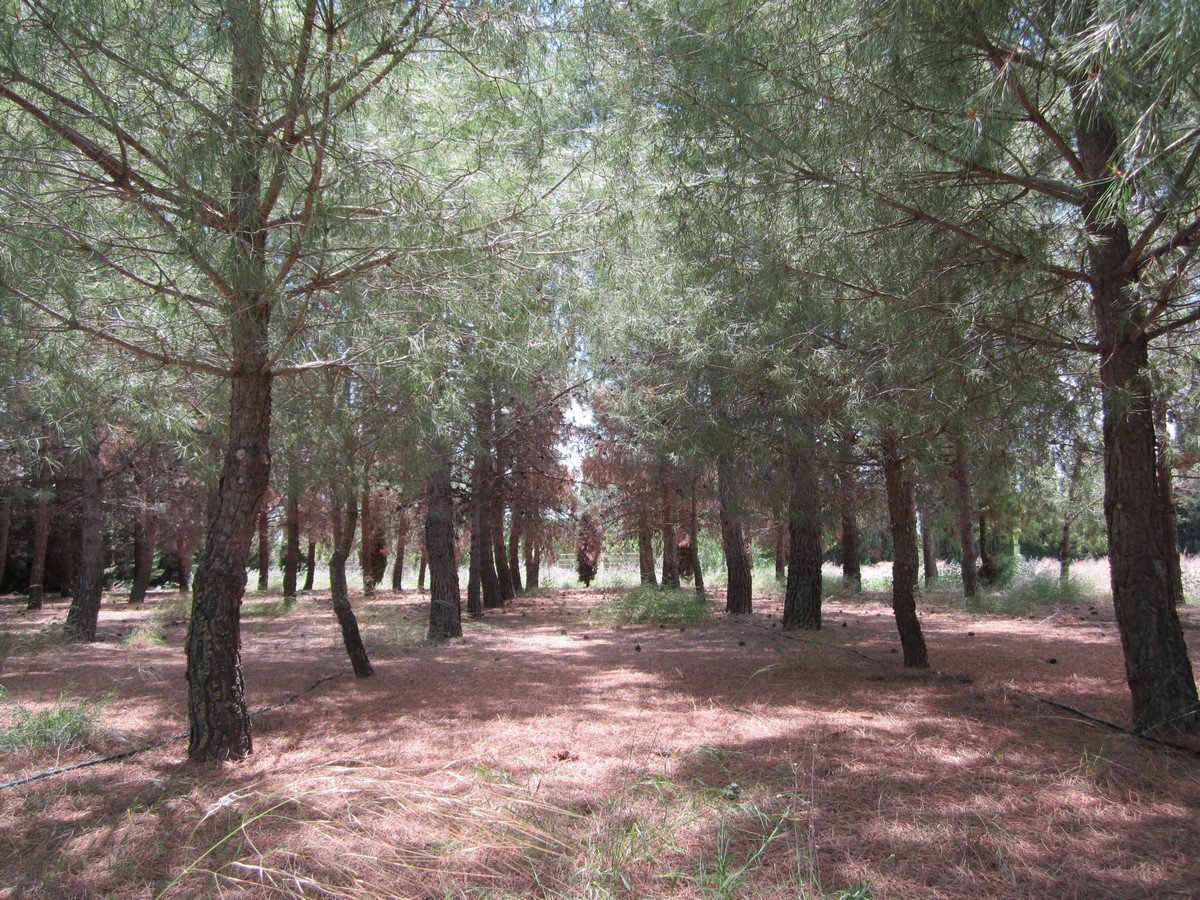06 photo
