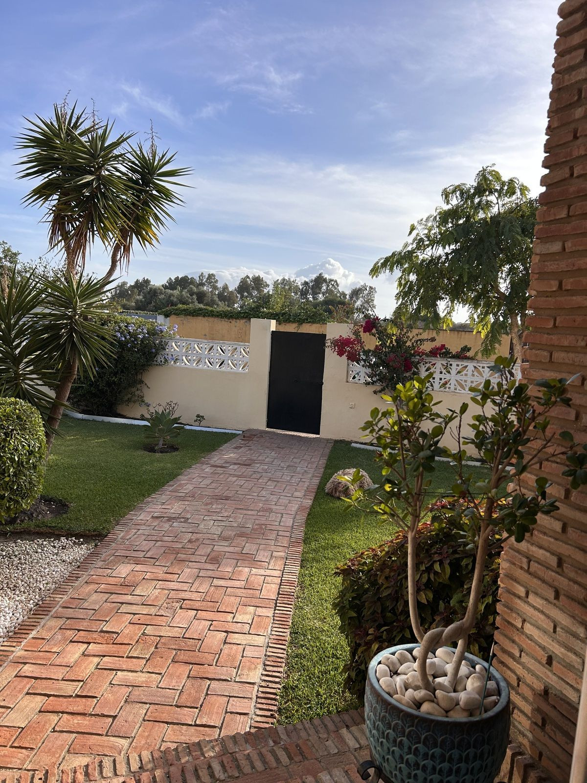 Tuinpad leidt naar de ingang van het huis, omgeven door weelderig groen.