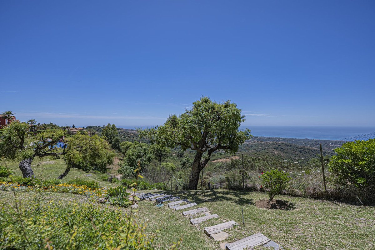 23 photo