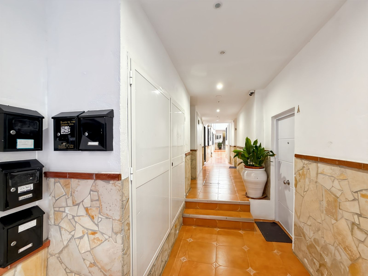 Appartement gang met kamerplant in pot