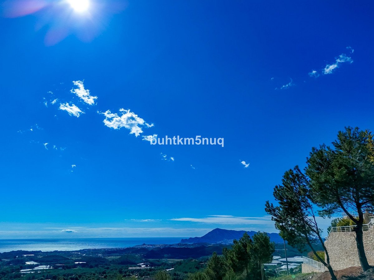 04 photo