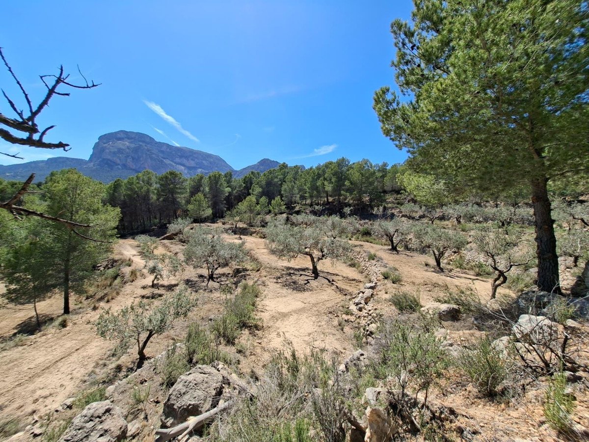 Land in Xirles in Xirles, Land