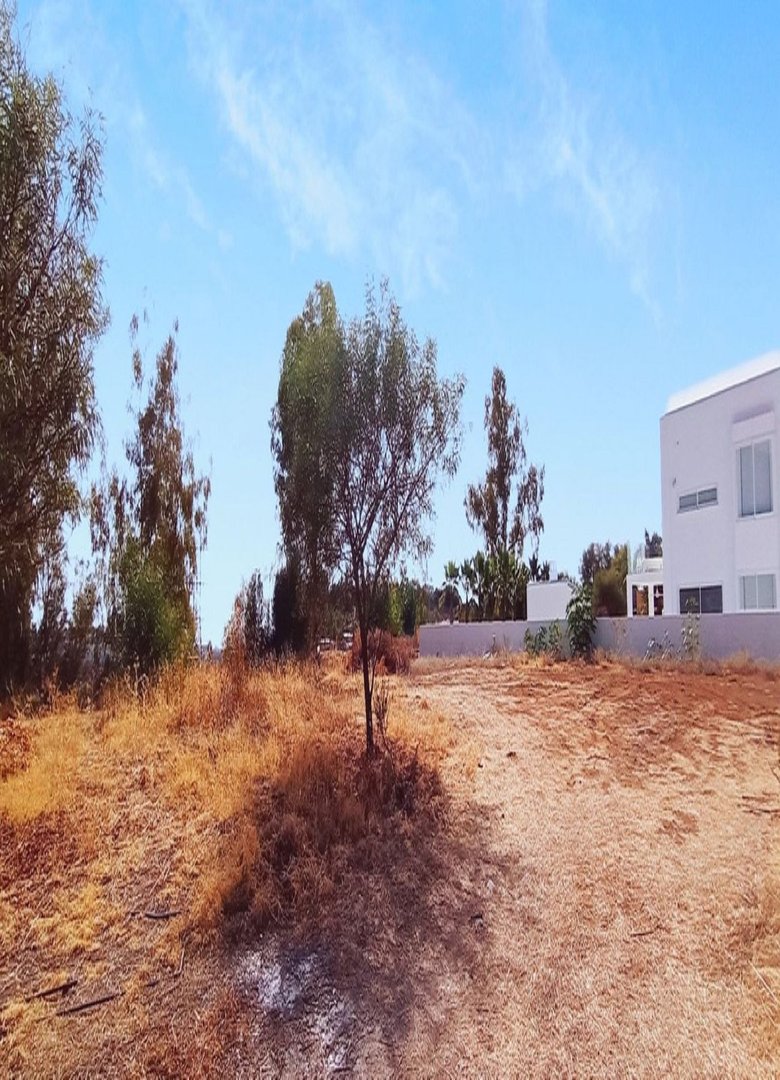 02 photo