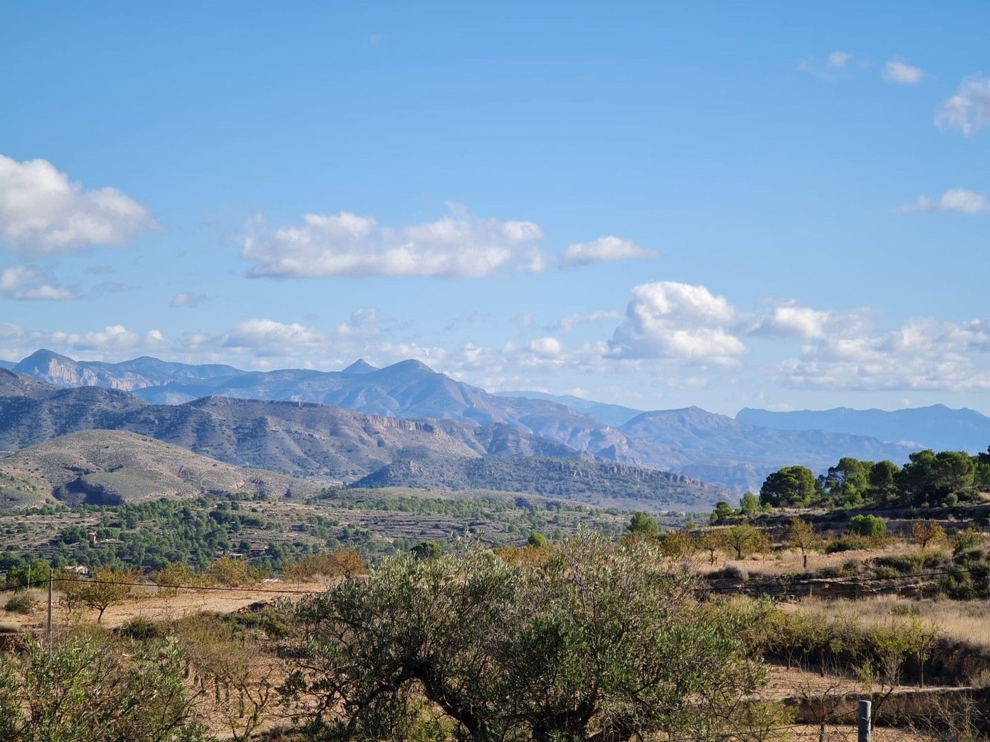 Alt text: Panoramic view of rolling hills and mountains from a spacious bedroom.