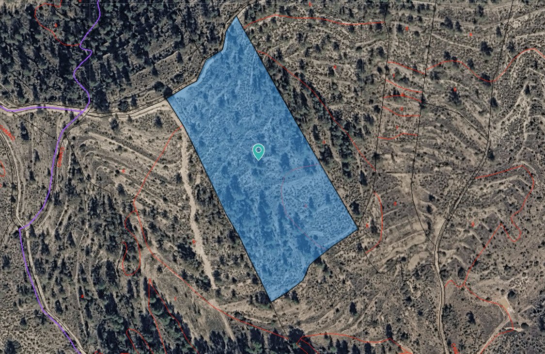 03 photo
