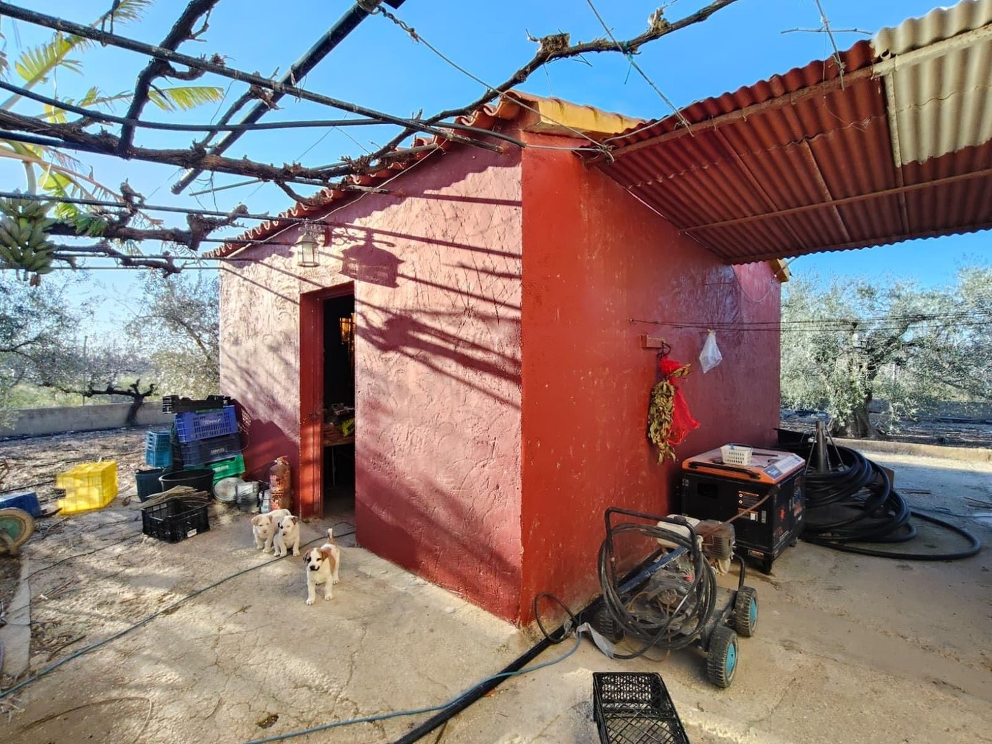 06 photo