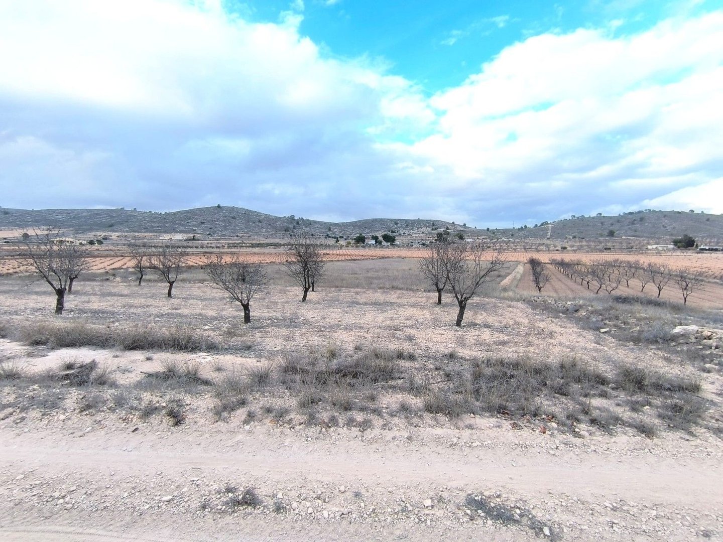 02 dry land farm view