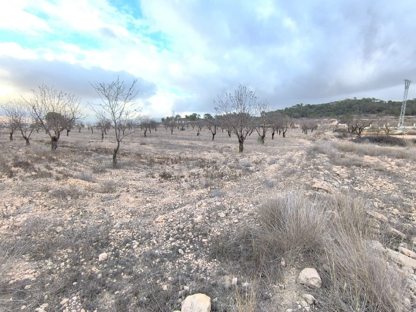 Land in La Solana em La Solana — Terreno