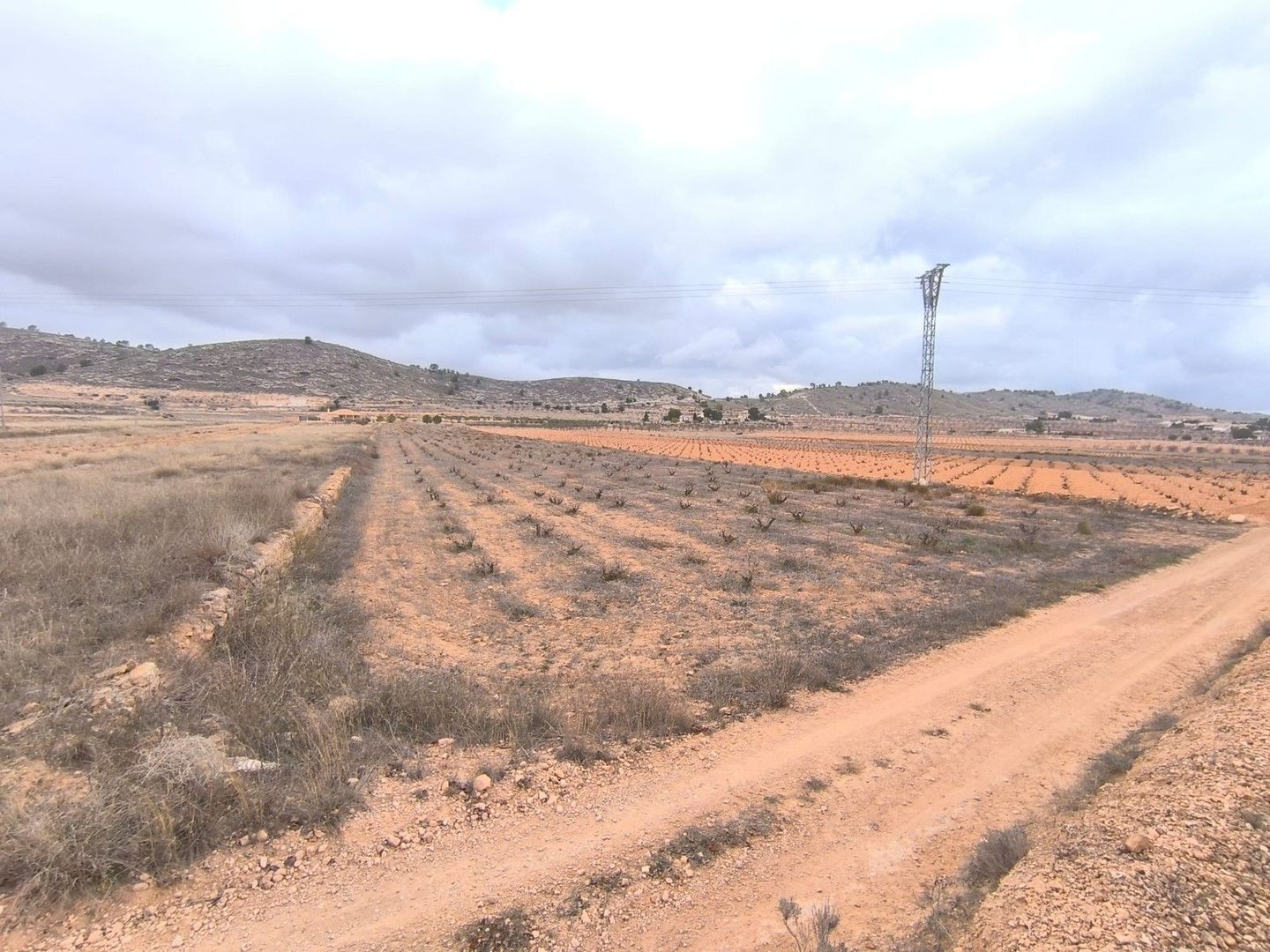 02 dry farm landscape