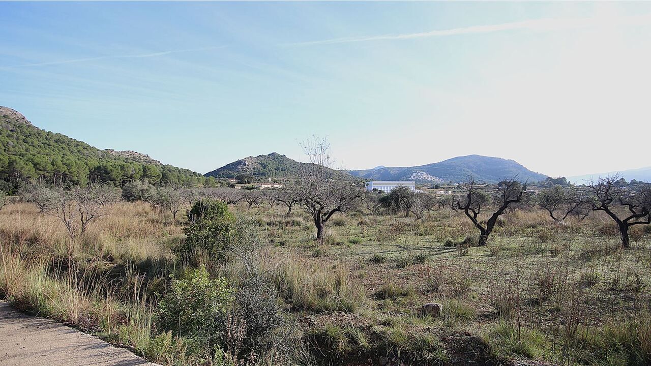 03 photo