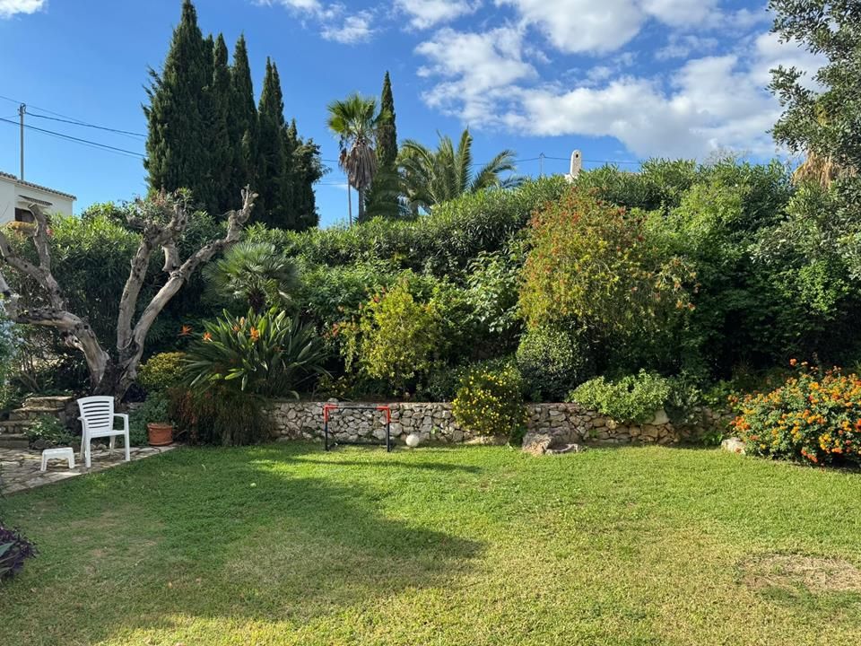 Overzicht van een weelderige tuin met een voetbaldoel en diverse planten.