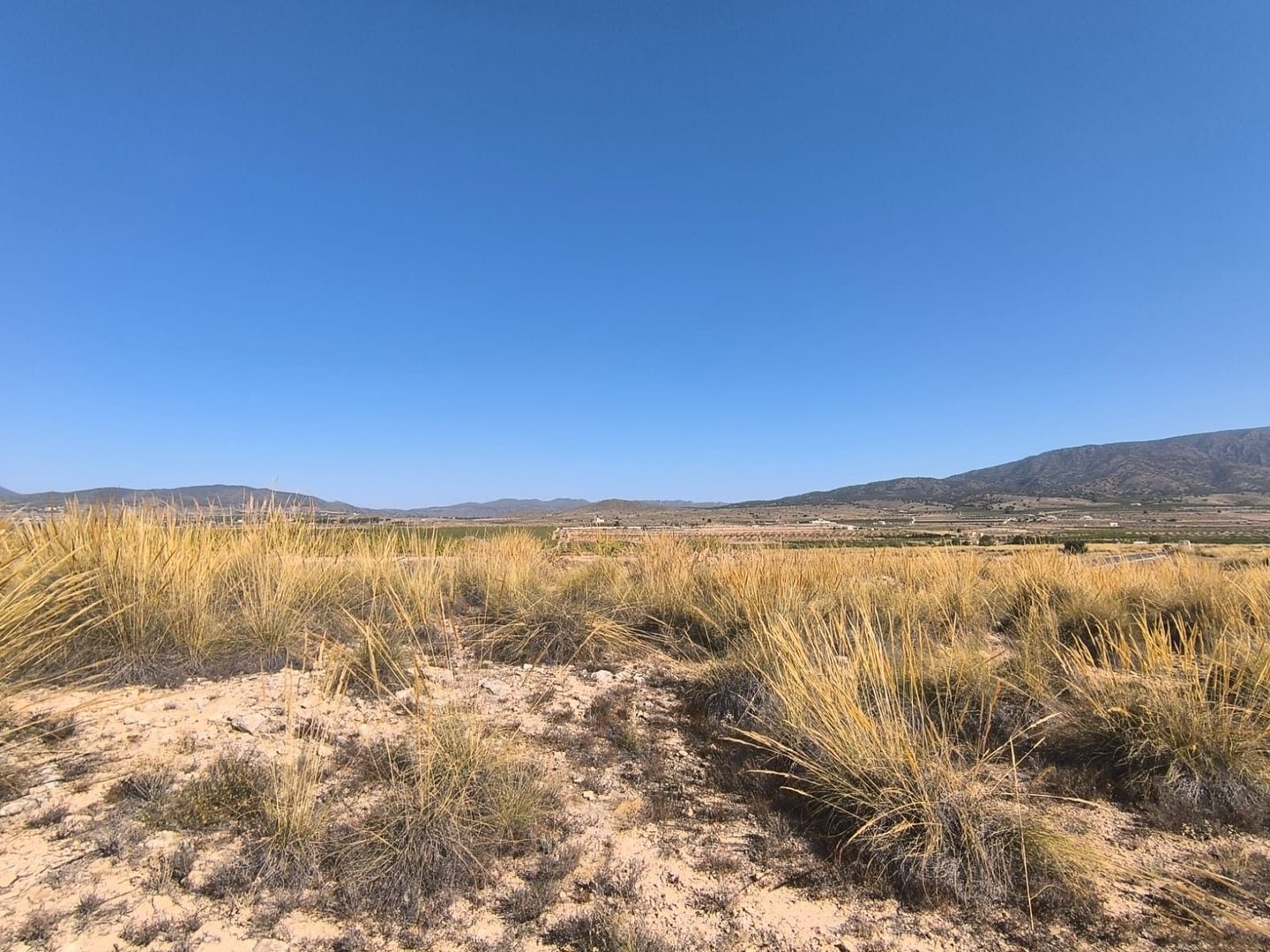 Land in Lel w Lel — Działka