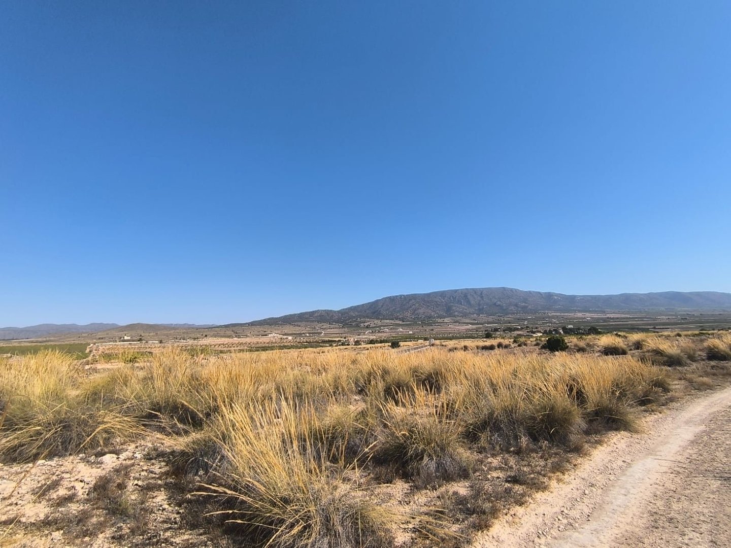 02 desert landscape view