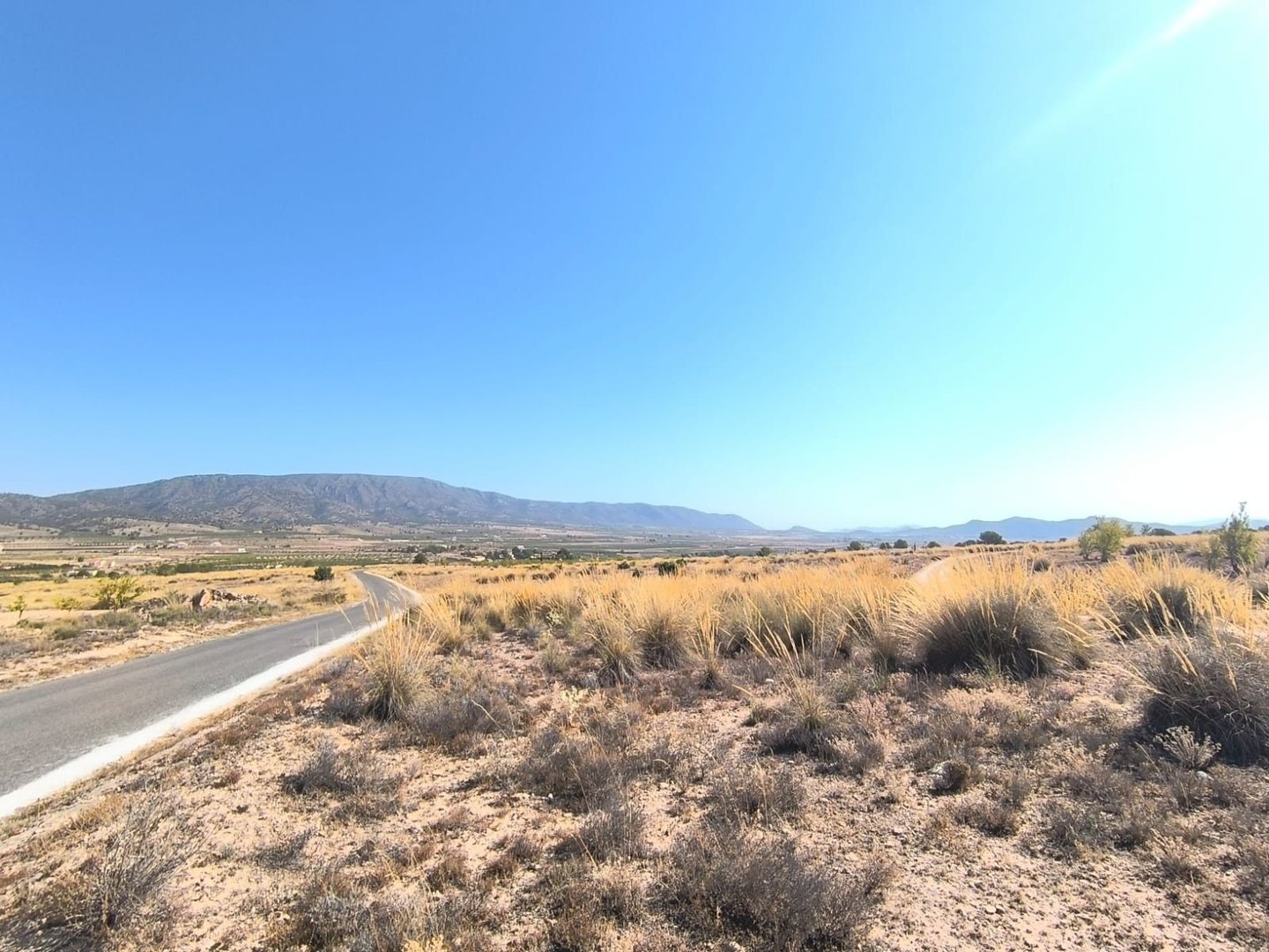 03 desert road landscape