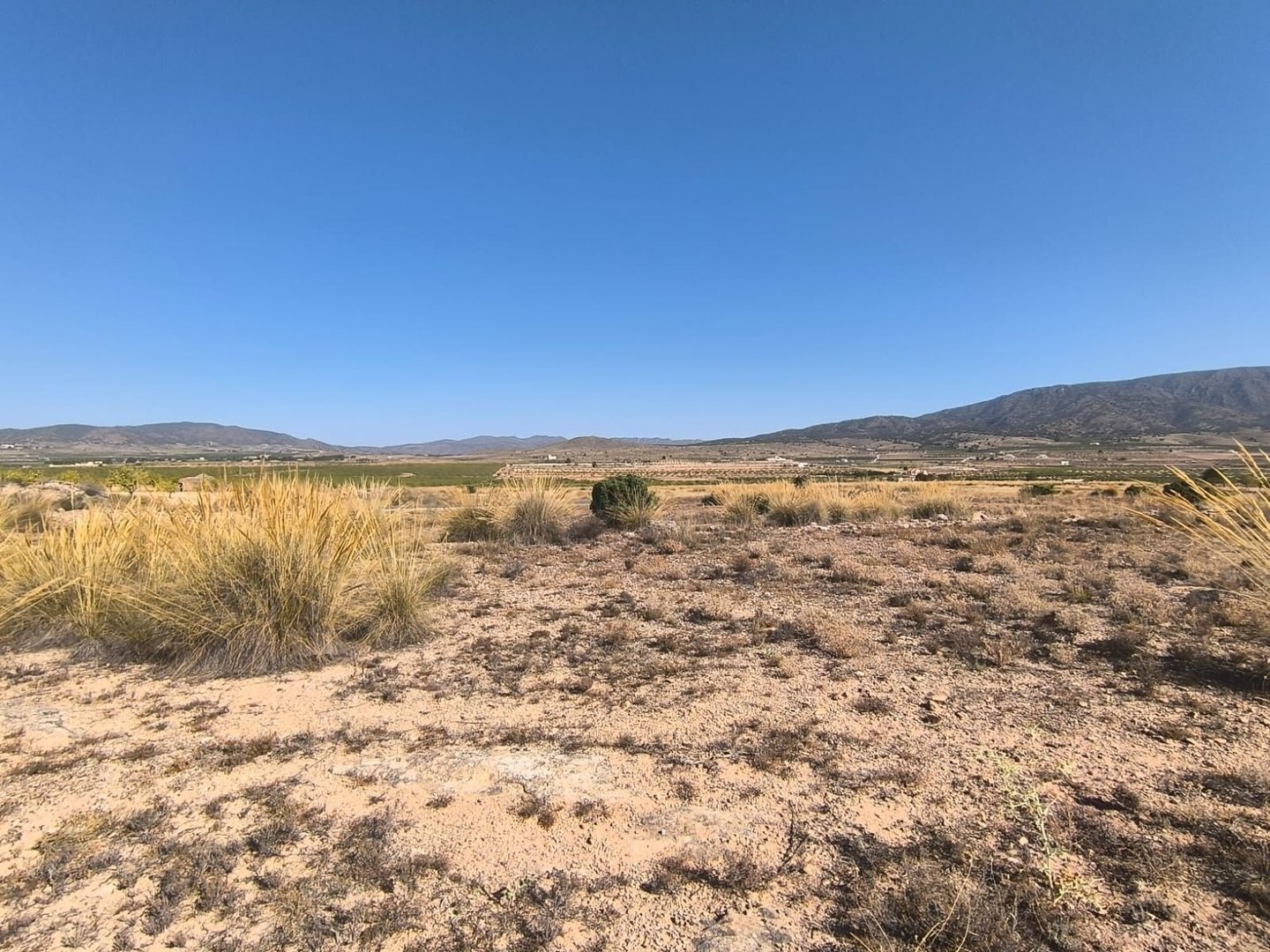 05 desert landscaped outdoor space