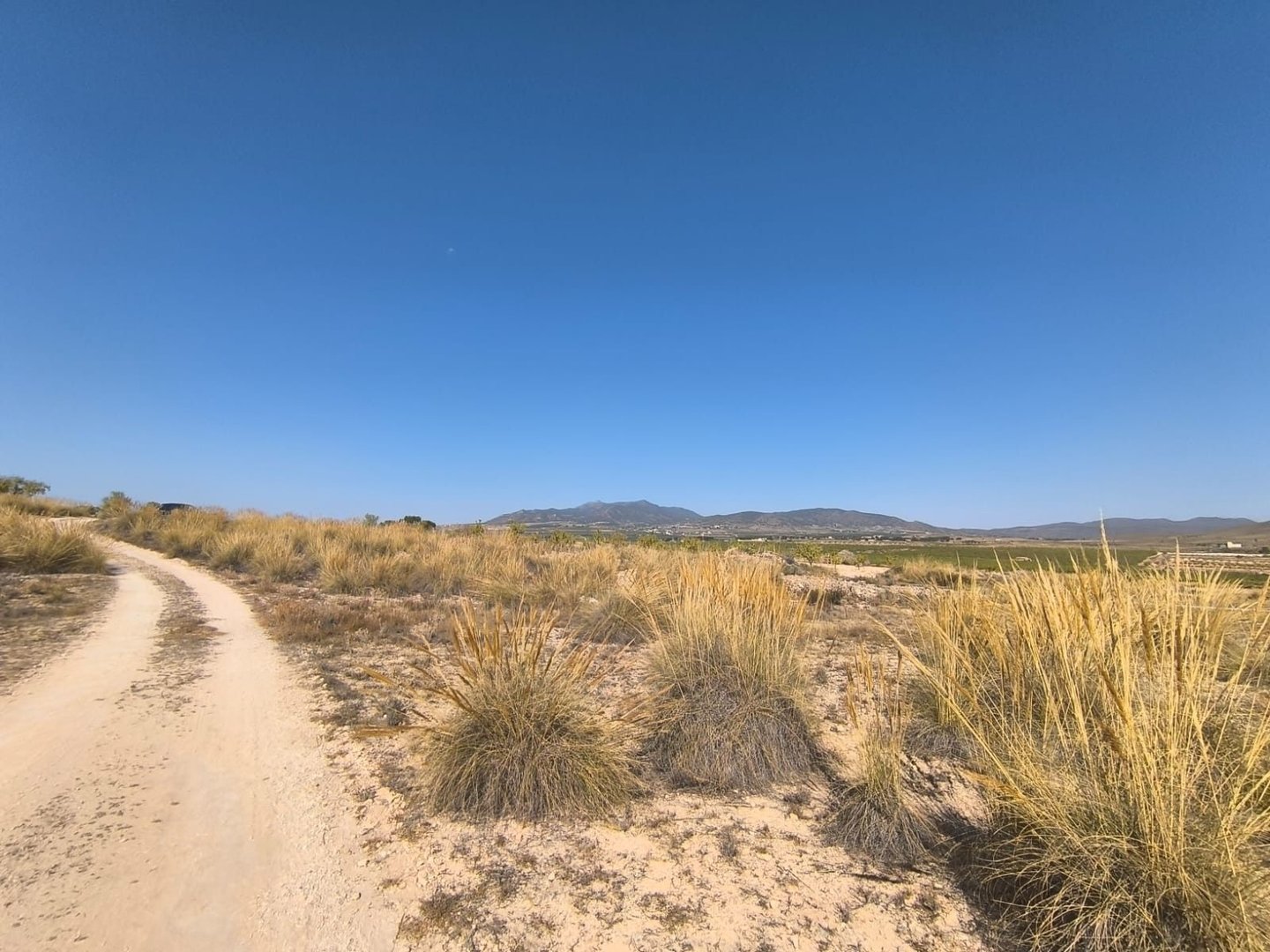 06 dirt road desert landscape