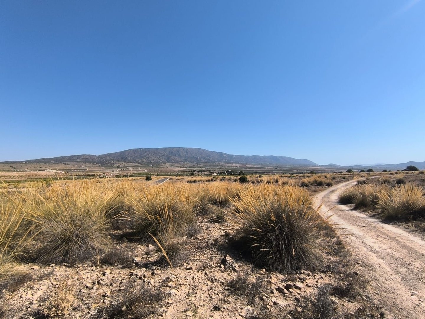07 desert landscape view
