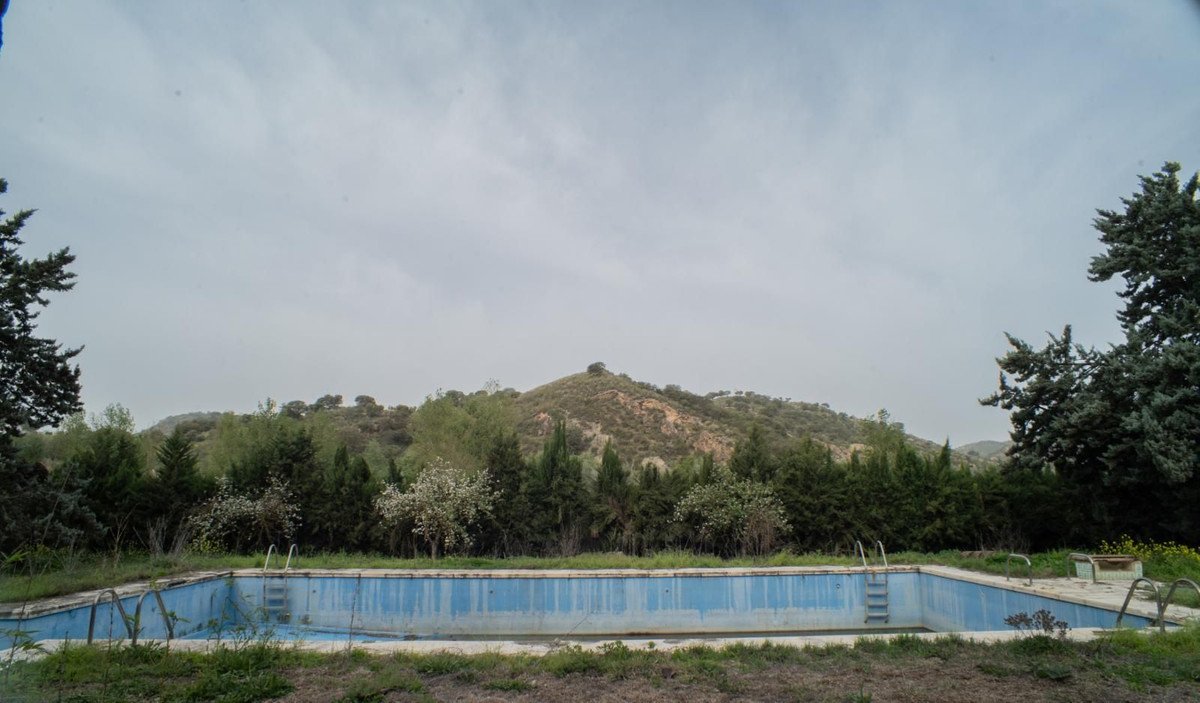 04 photo
