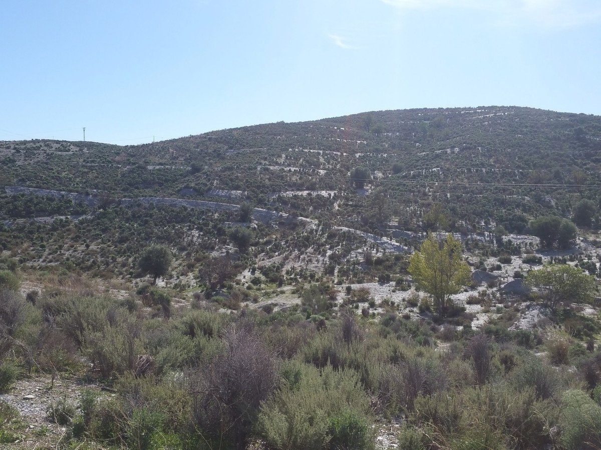 02 photo
