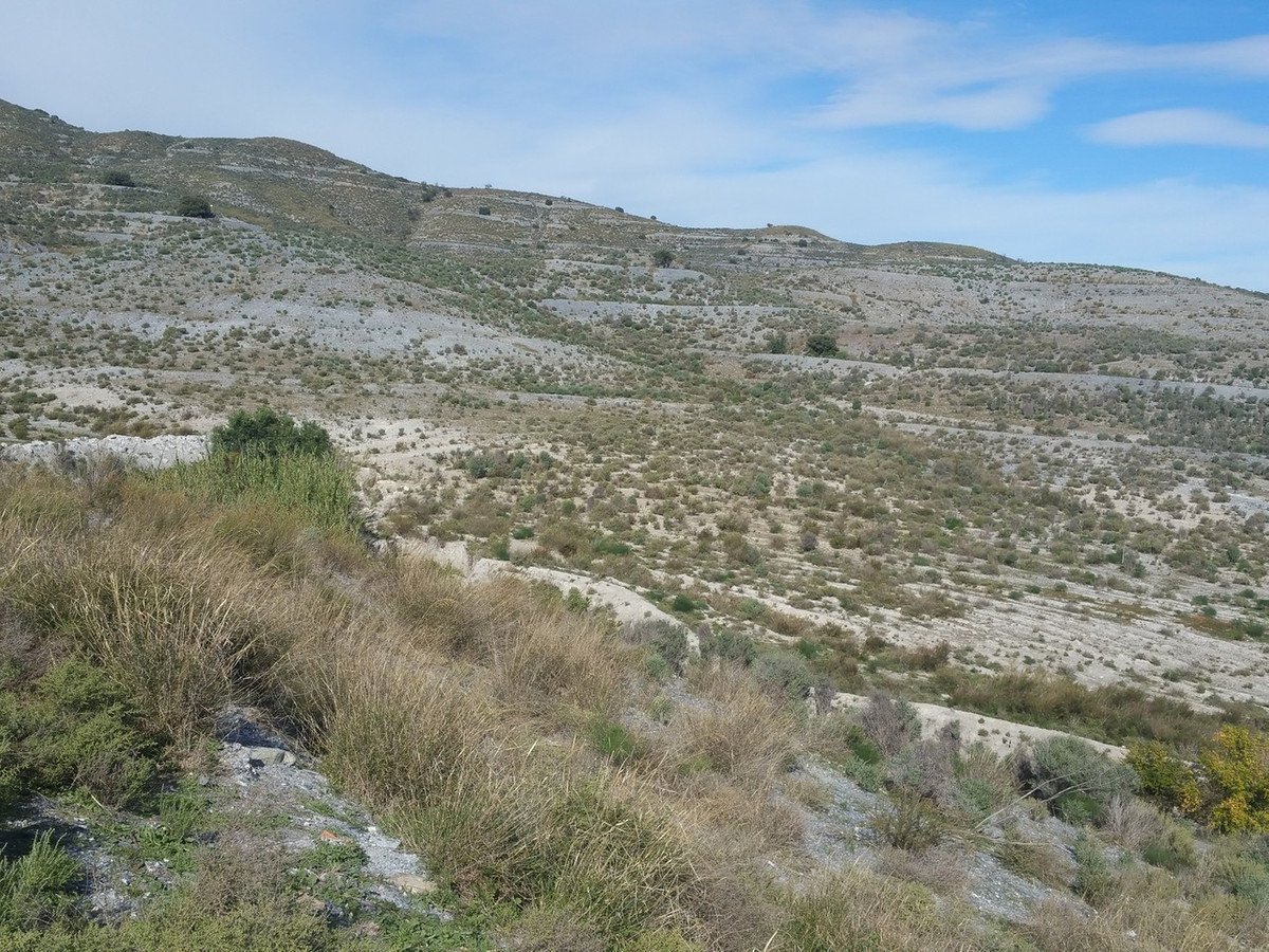 02 photo