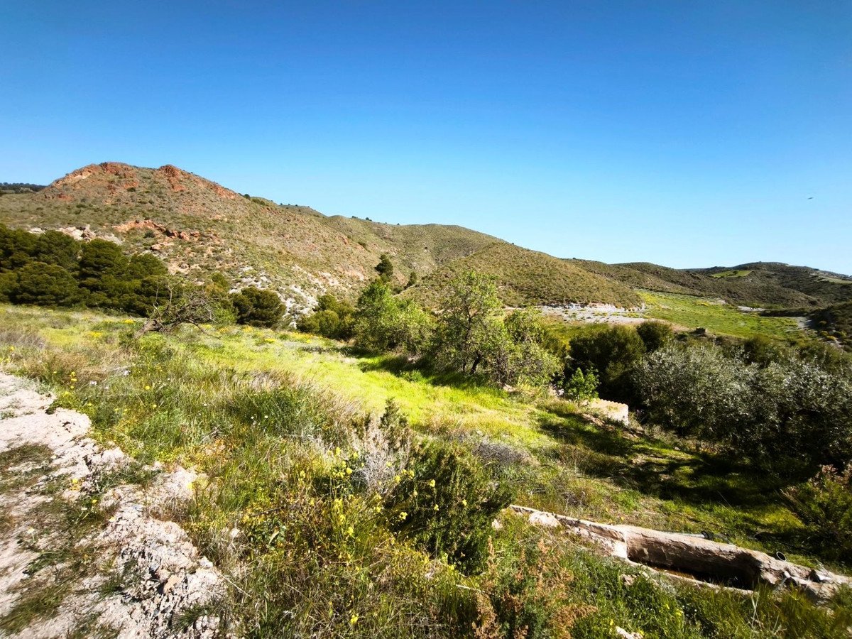 Residential Plot in Lorca in Lorca, 