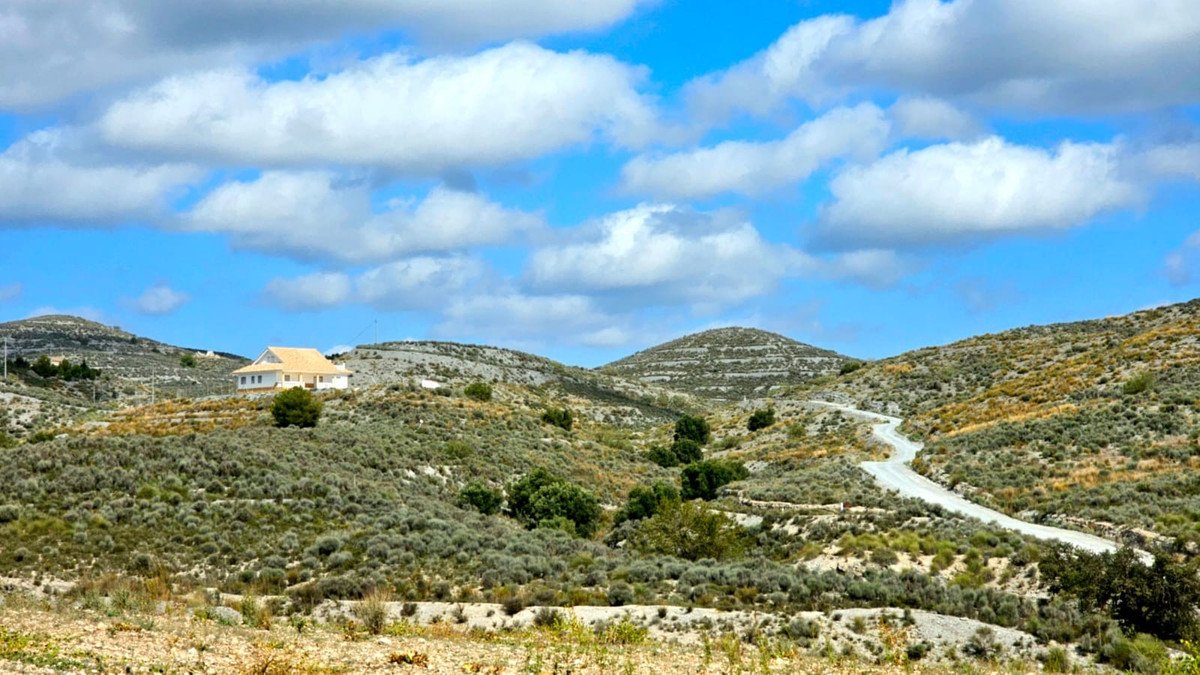 07 photo