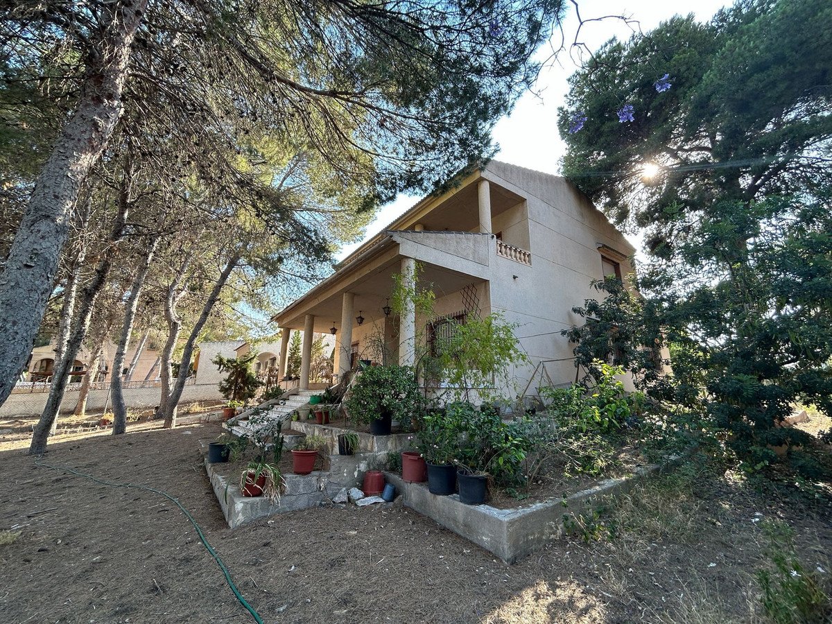 06 photo