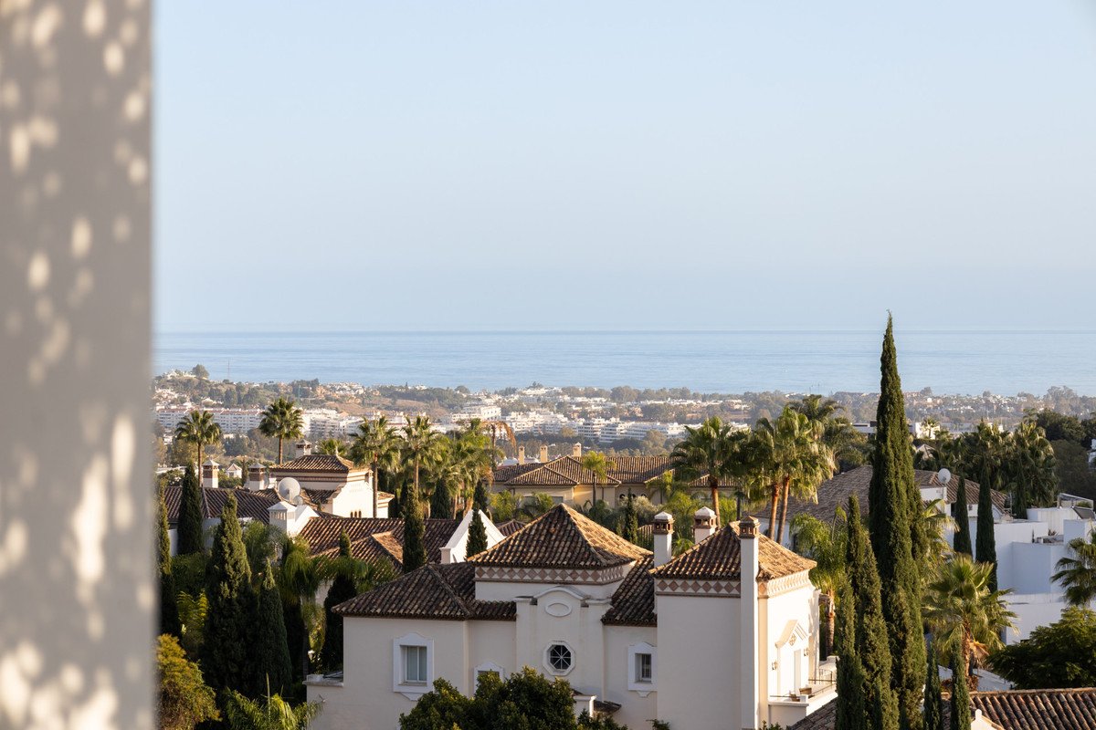 26 photo