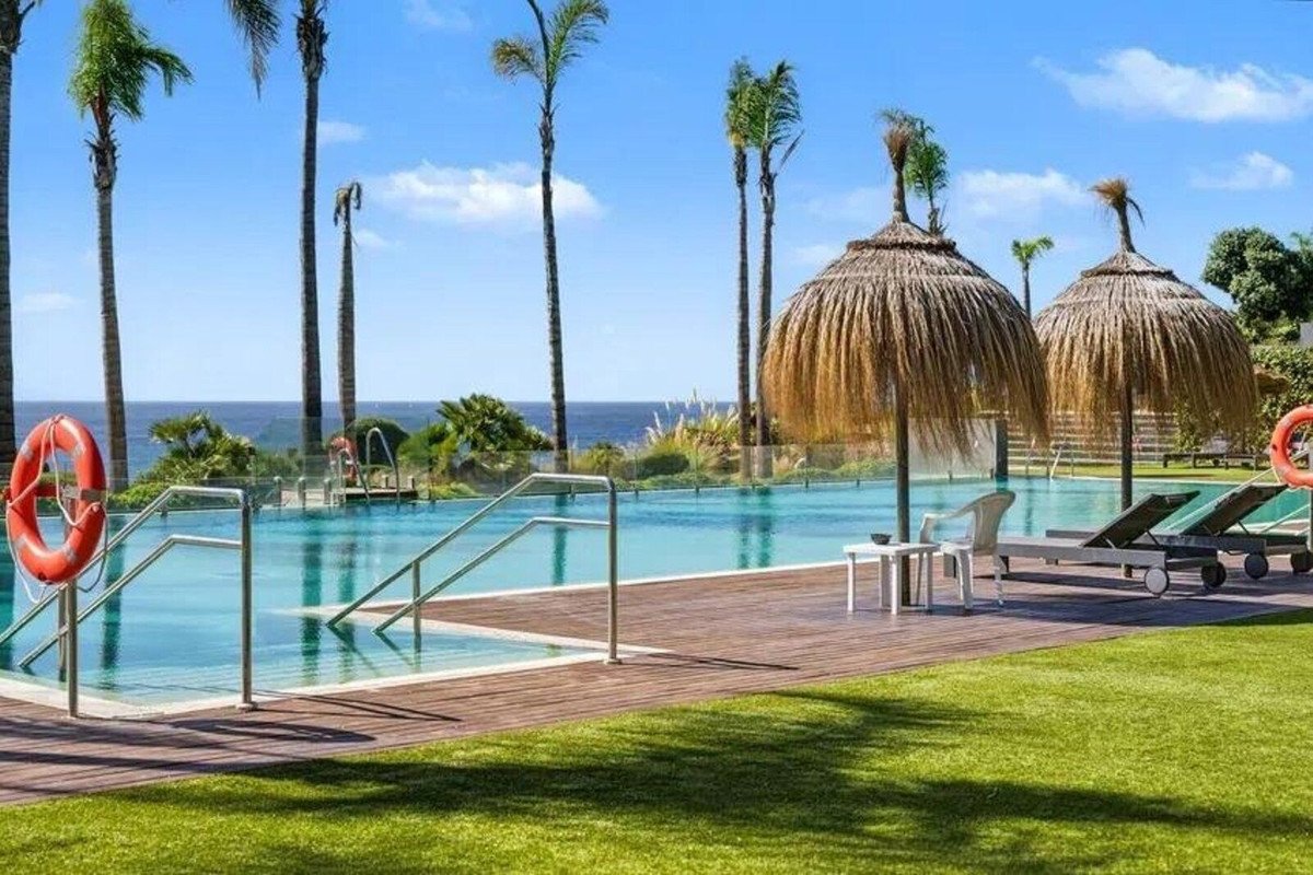 An inviting swimming pool with palm trees and ocean view, featuring loungers and thatched umbrellas.