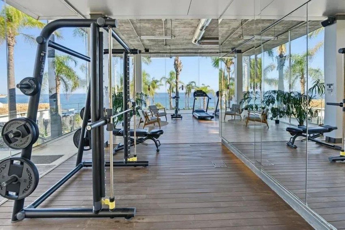 A modern gym with weights, treadmill, and large windows overlooking the ocean and palm trees.