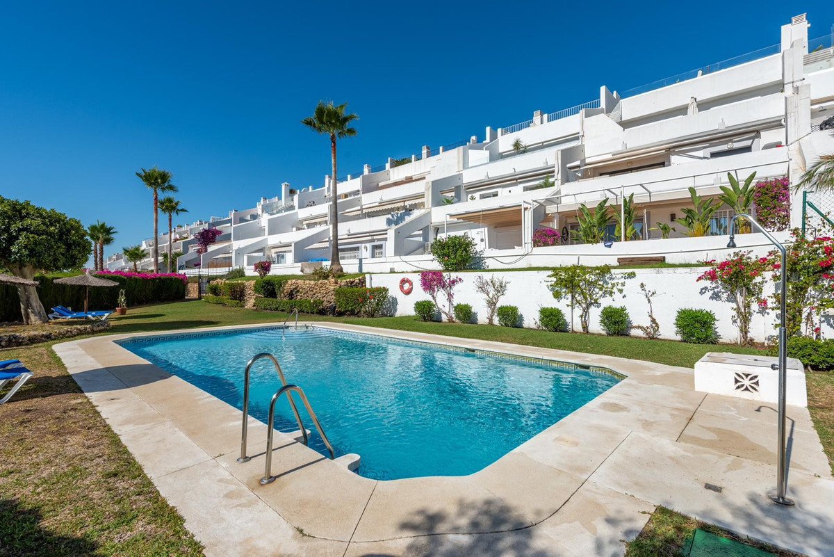 A communal swimming pool with sun loungers and umbrellas, in front of white apartment buildings with balconies and palm trees.