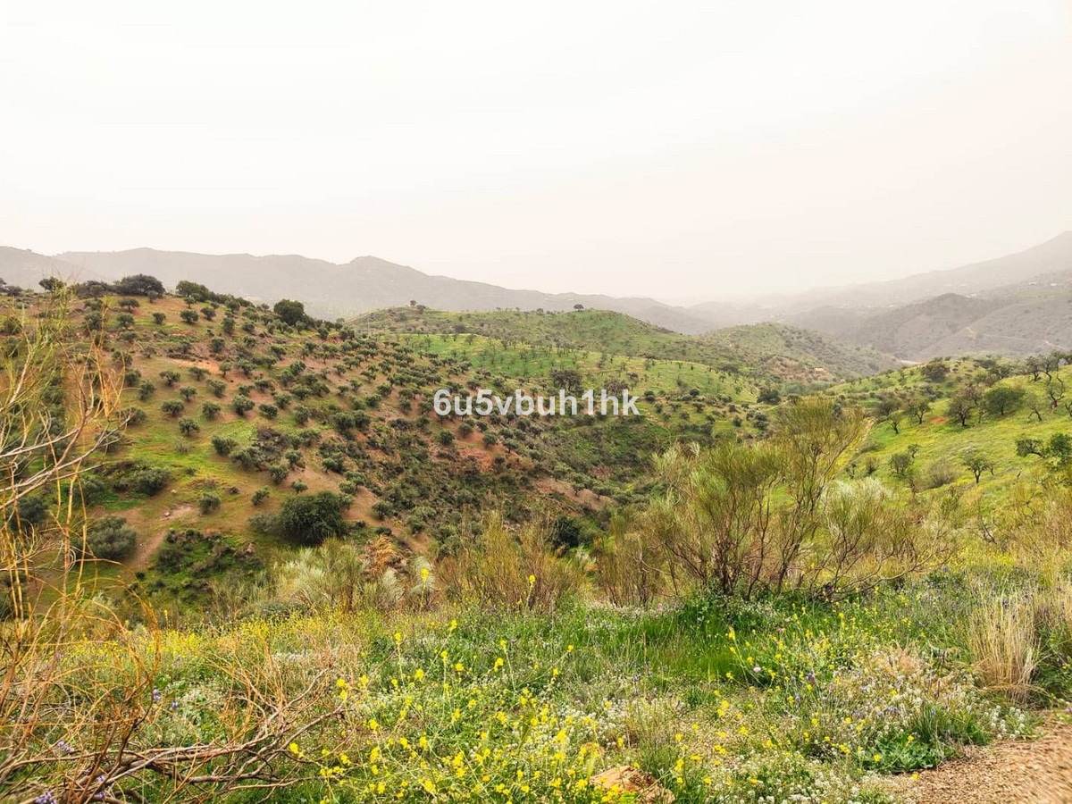 32 photo