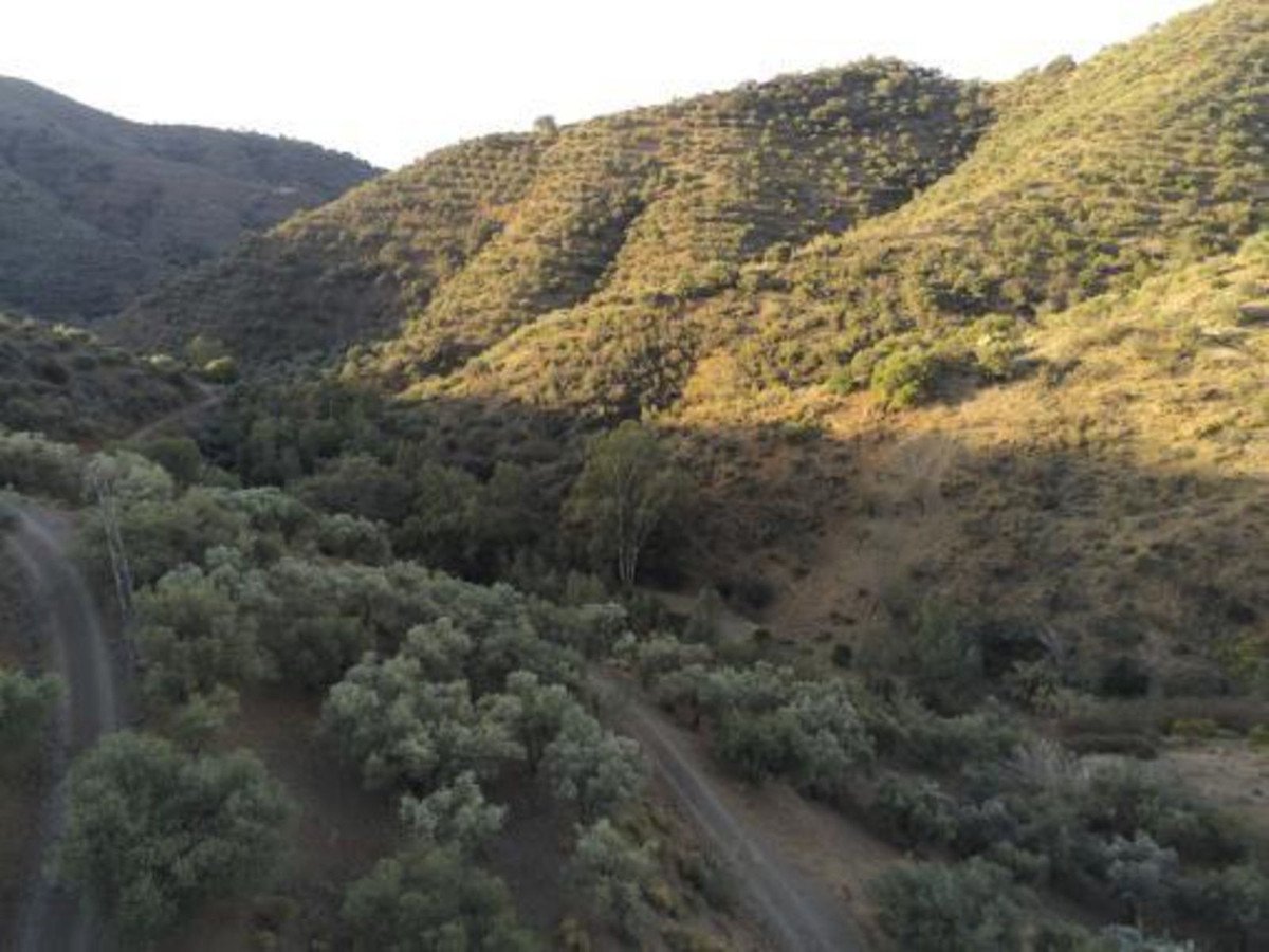 A scenic view of rolling hills covered in trees and vegetation, with a dirt road winding through the landscape.