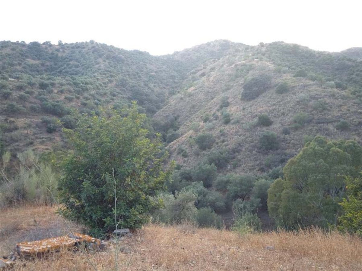 A view of a rural landscape featuring rolling hills covered in scrub and trees, with dry grass in the foreground.