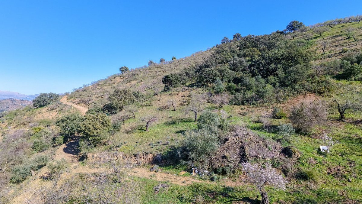 Land with Ruin in Málaga rajons: Málaga — Zeme ar drupām