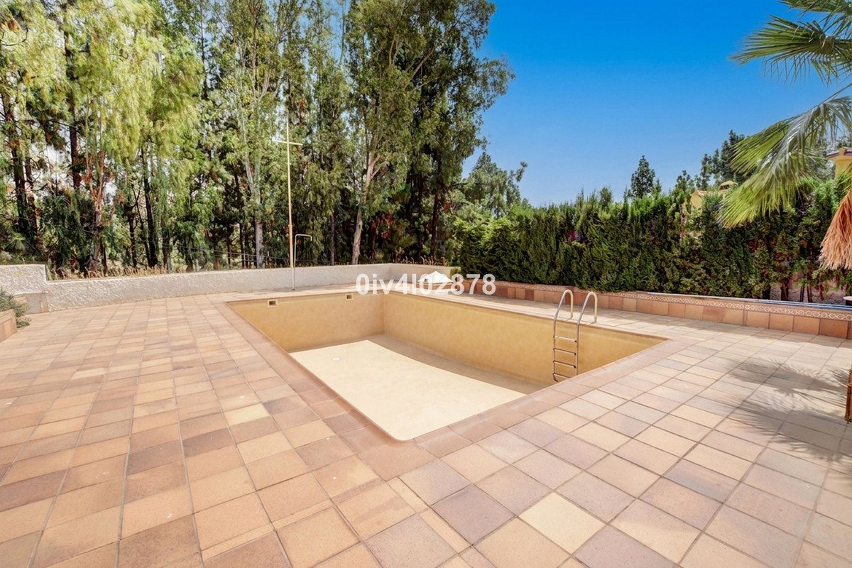 An empty swimming pool with a ladder sits in a paved yard surrounded by lush green trees and hedges under a clear blue sky.