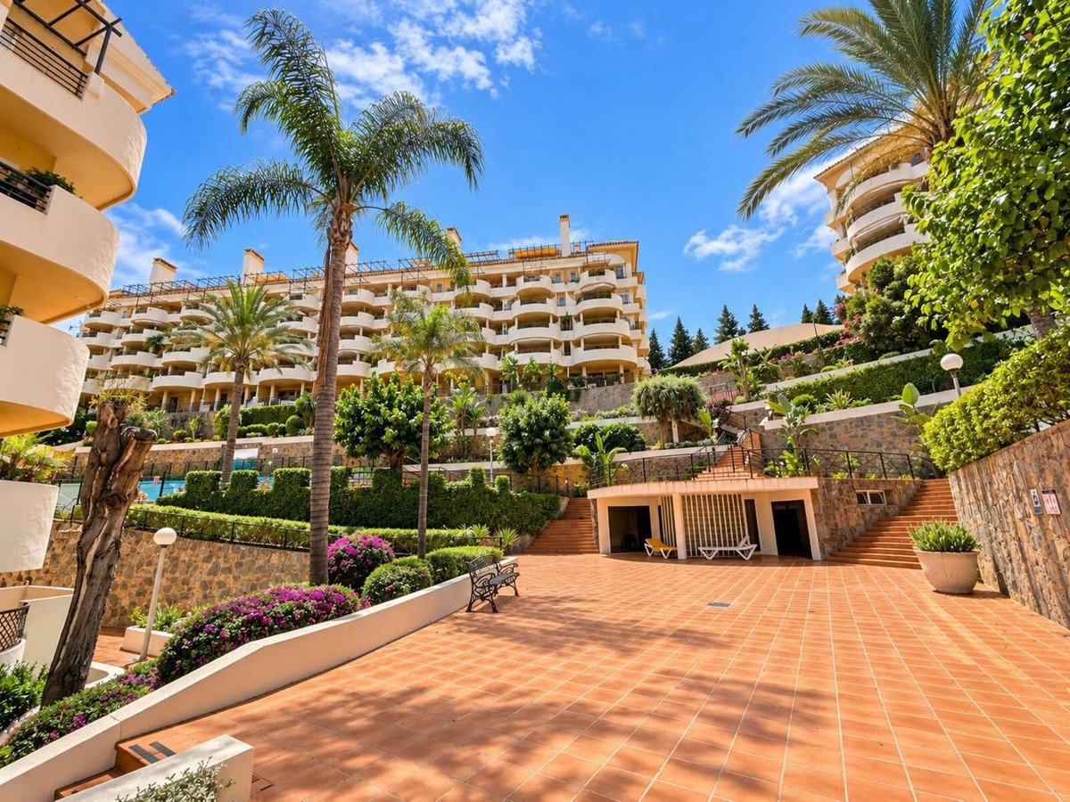 Apartment complex with palm trees, lush greenery, and a tiled terrace area under a bright blue sky.