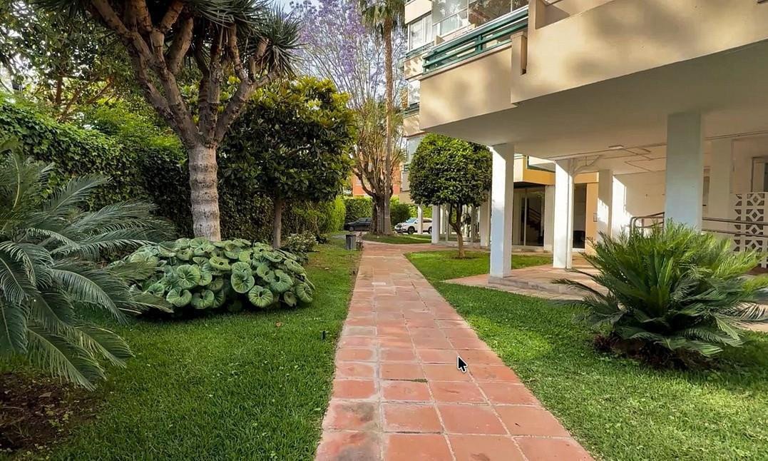 Apartment garden with brick pathway, palm trees, and greenery