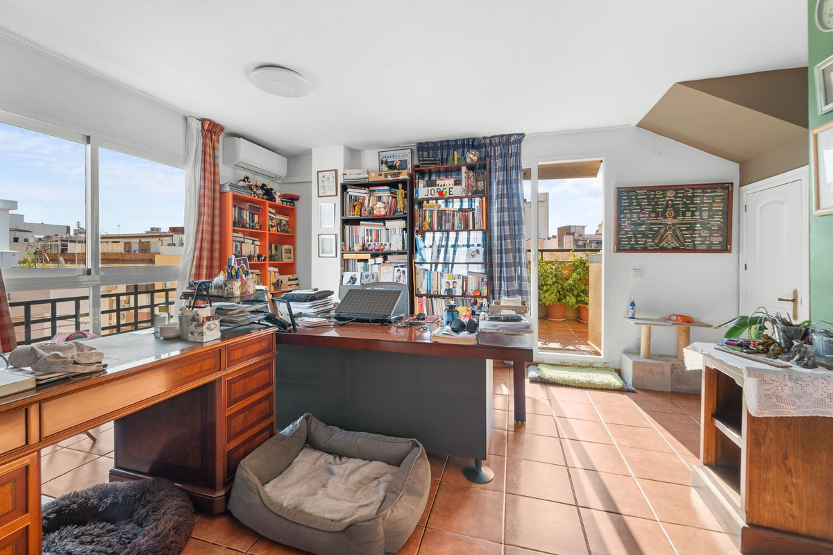Sonnenhelles Arbeitszimmer mit Stadtblick, Bücherregalen, Schreibtisch und Haustierbett.