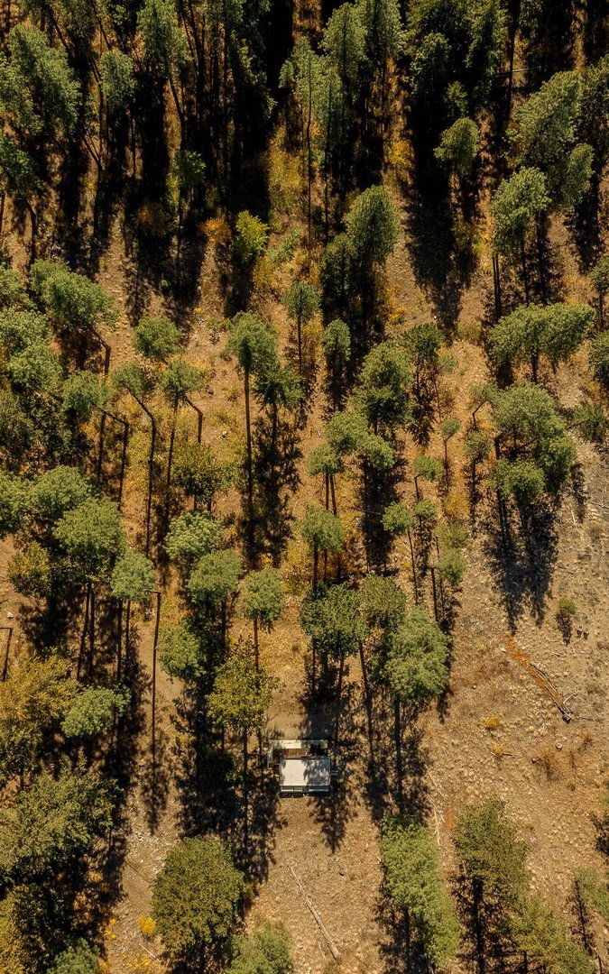 Aerial view of a cozy cabin nestled in a forested area with a scenic woodland backdrop.