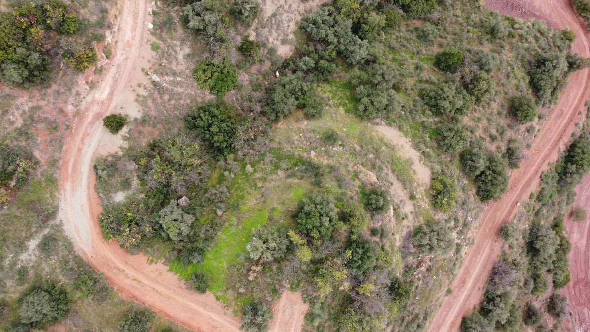 Luchtfoto van afgelegen woning met onverharde weg, omringd door groen.