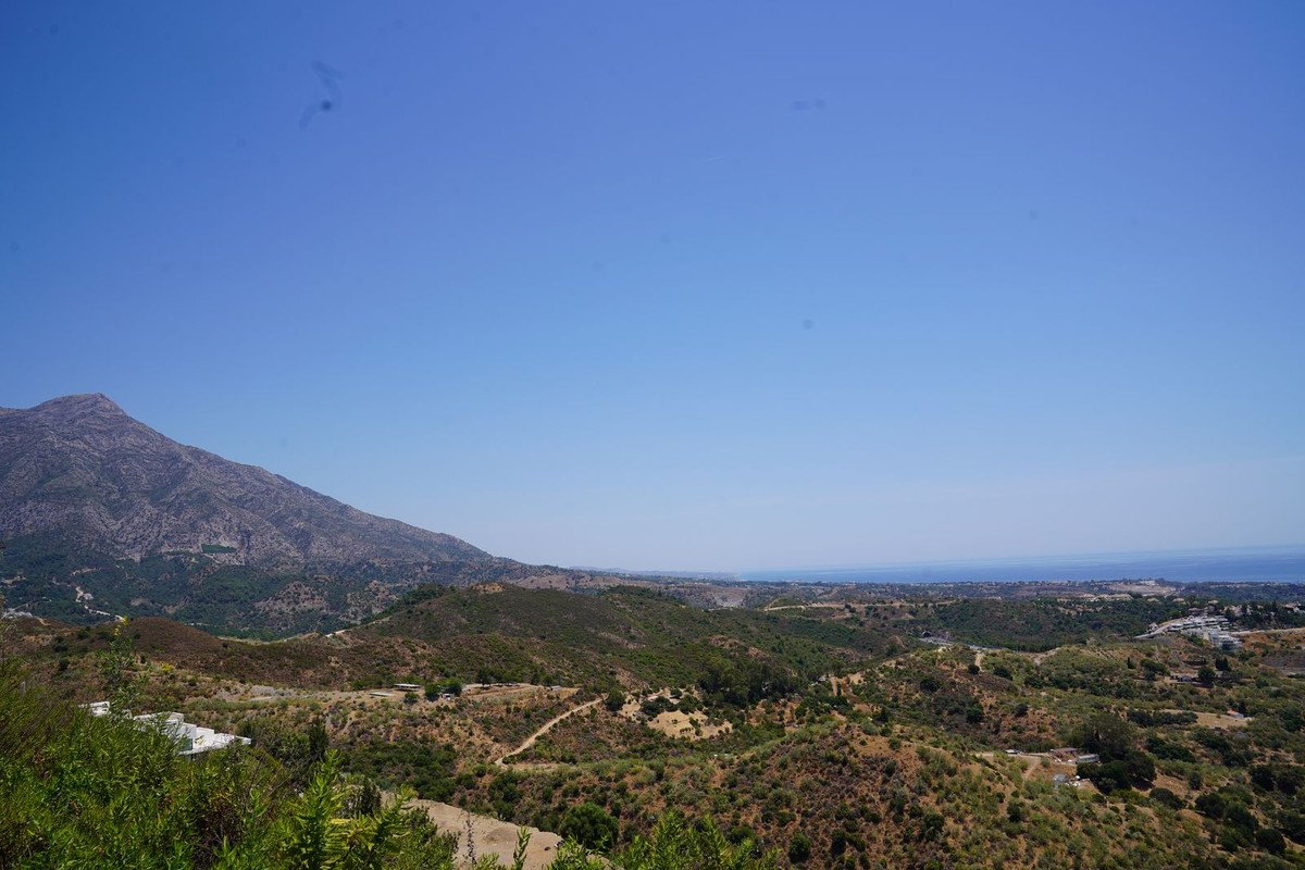04 photo
