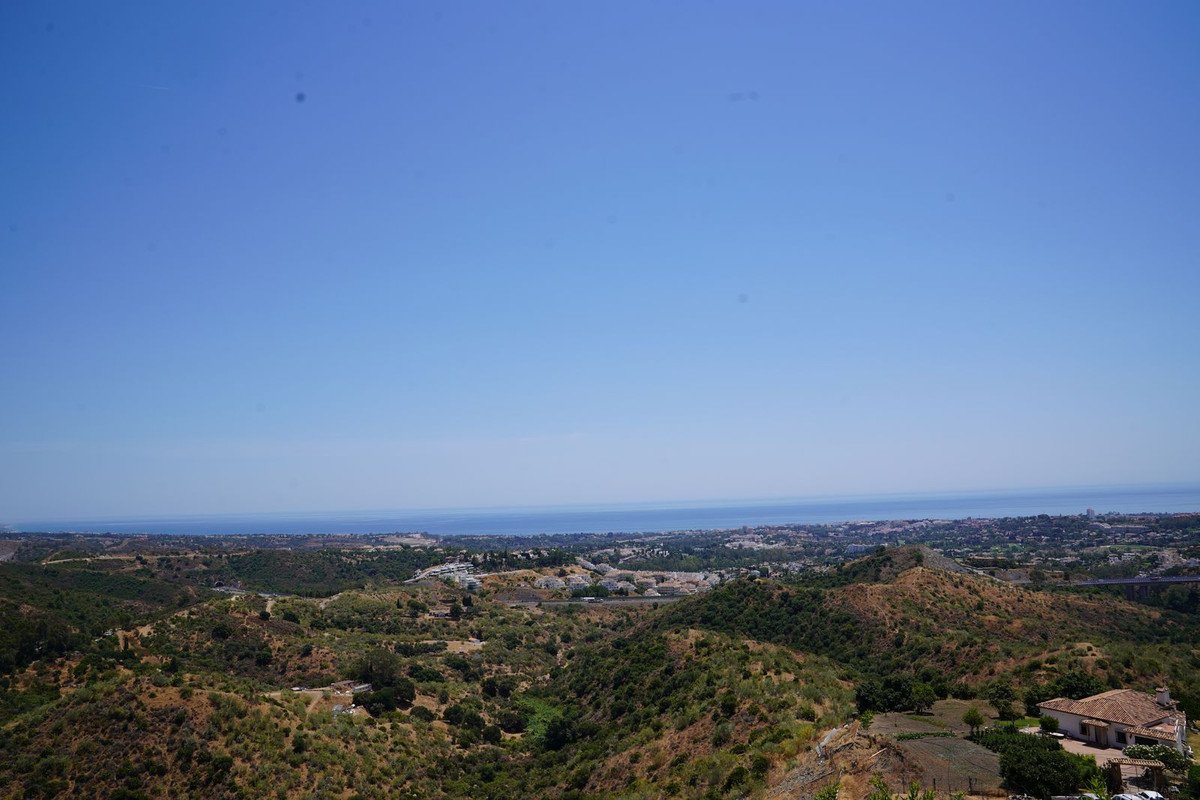 05 photo
