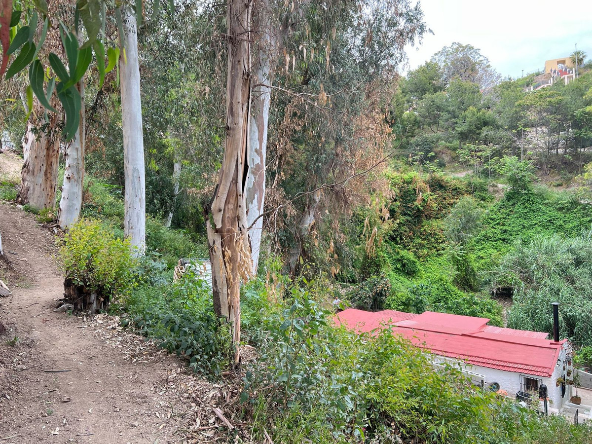 Habitación rústica con vista a jardín, techo rojo, rodeada de árboles.