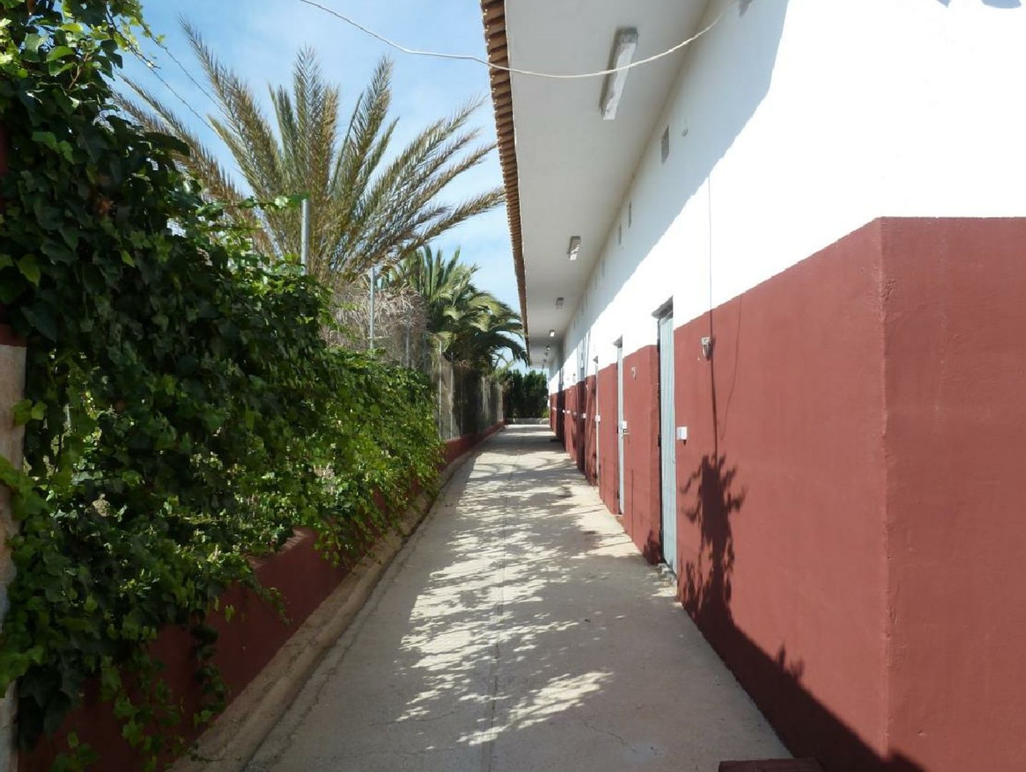  in San Miguel de Salinas — Rustiek Landgoed